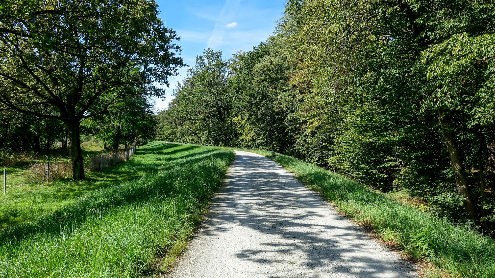 Wrzesień w obiektywie - zdjęcie 14