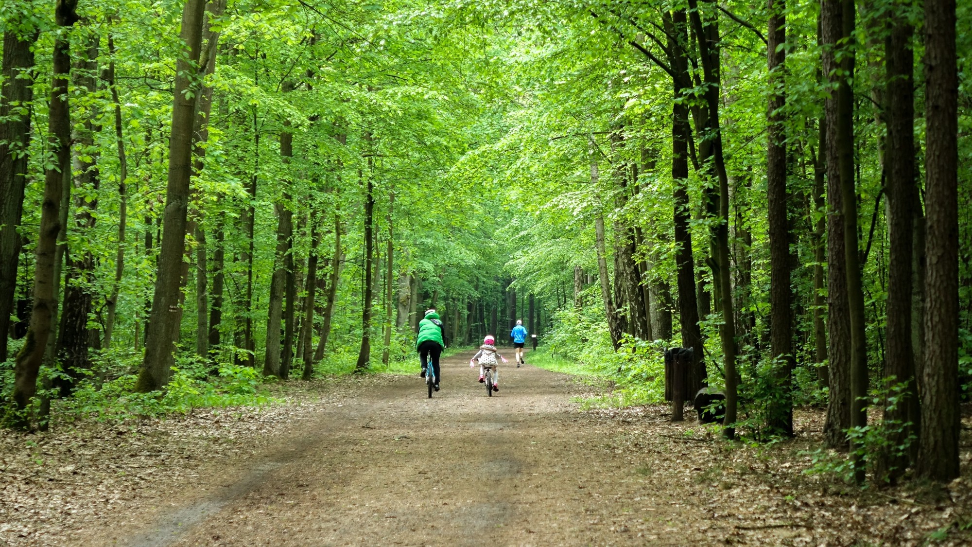 Maj w obiektywie - zdjęcie 59