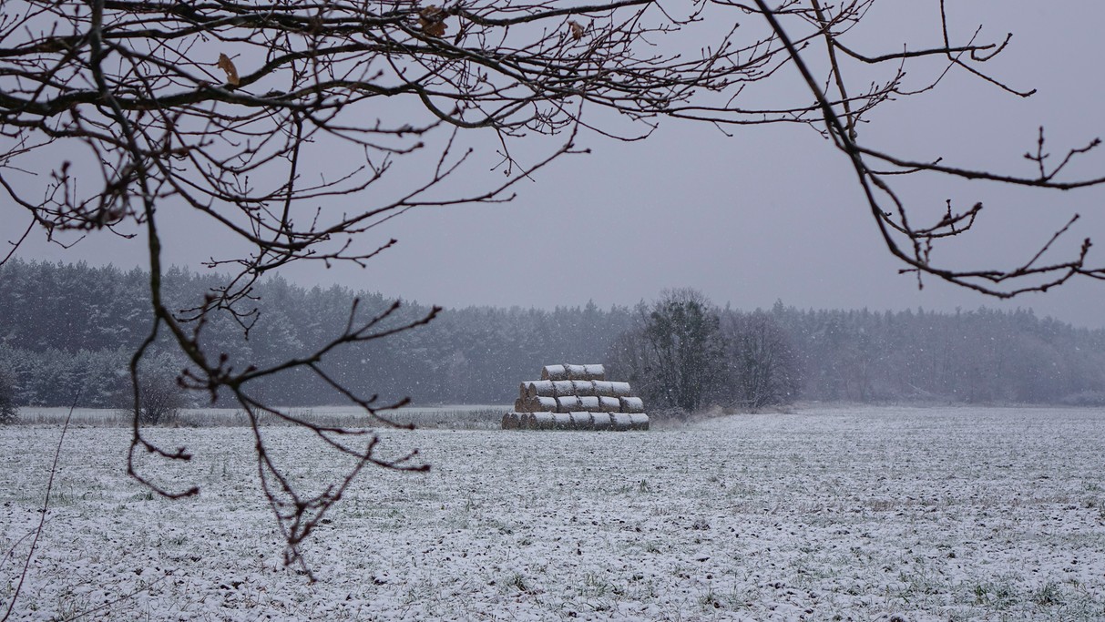 Grudzień w obiektywie - zdjęcie 36