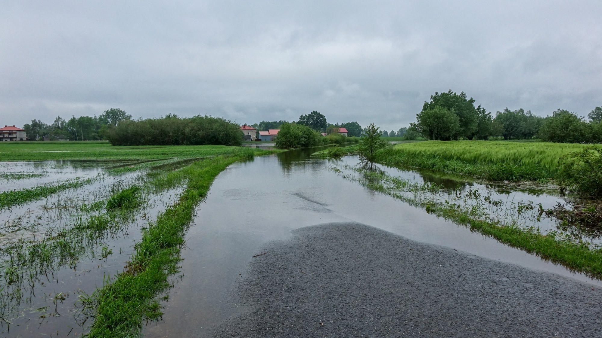 Maj w obiektywie - zdjęcie 43