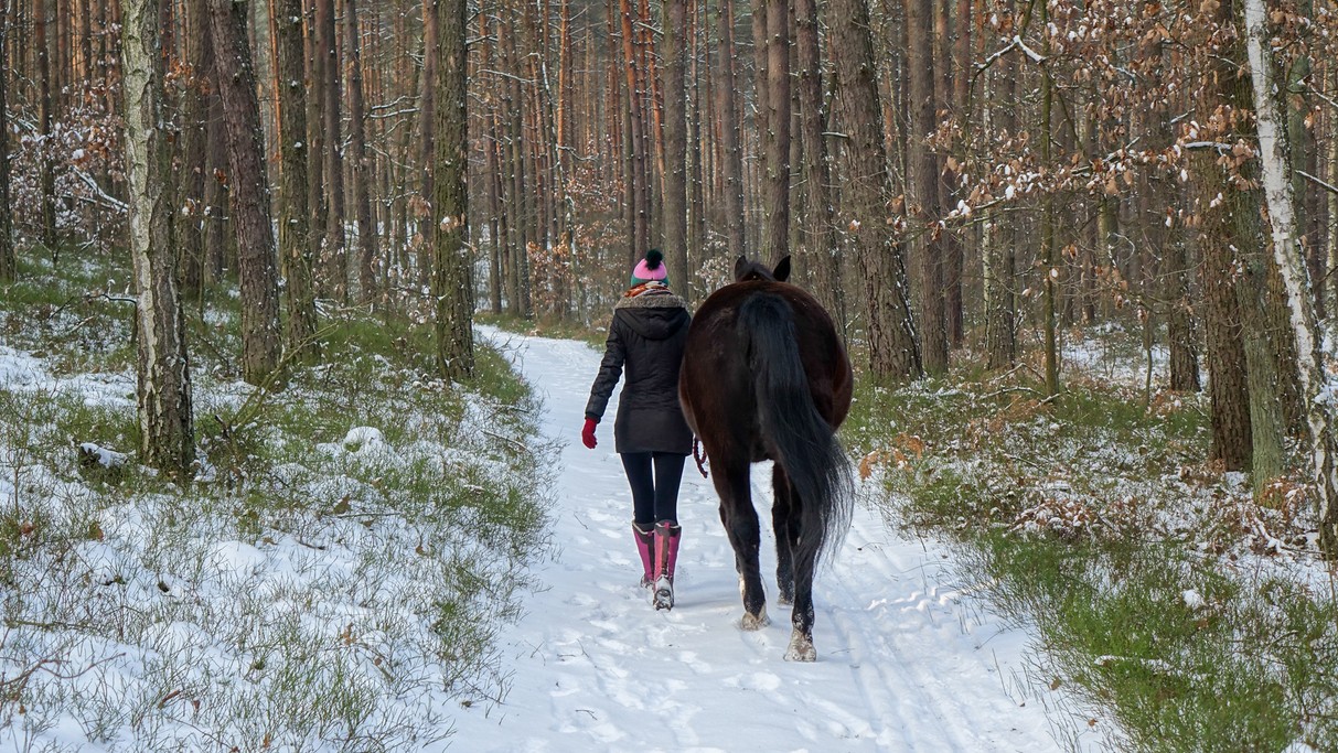 Styczeń w obiektywie - zdjęcie 23