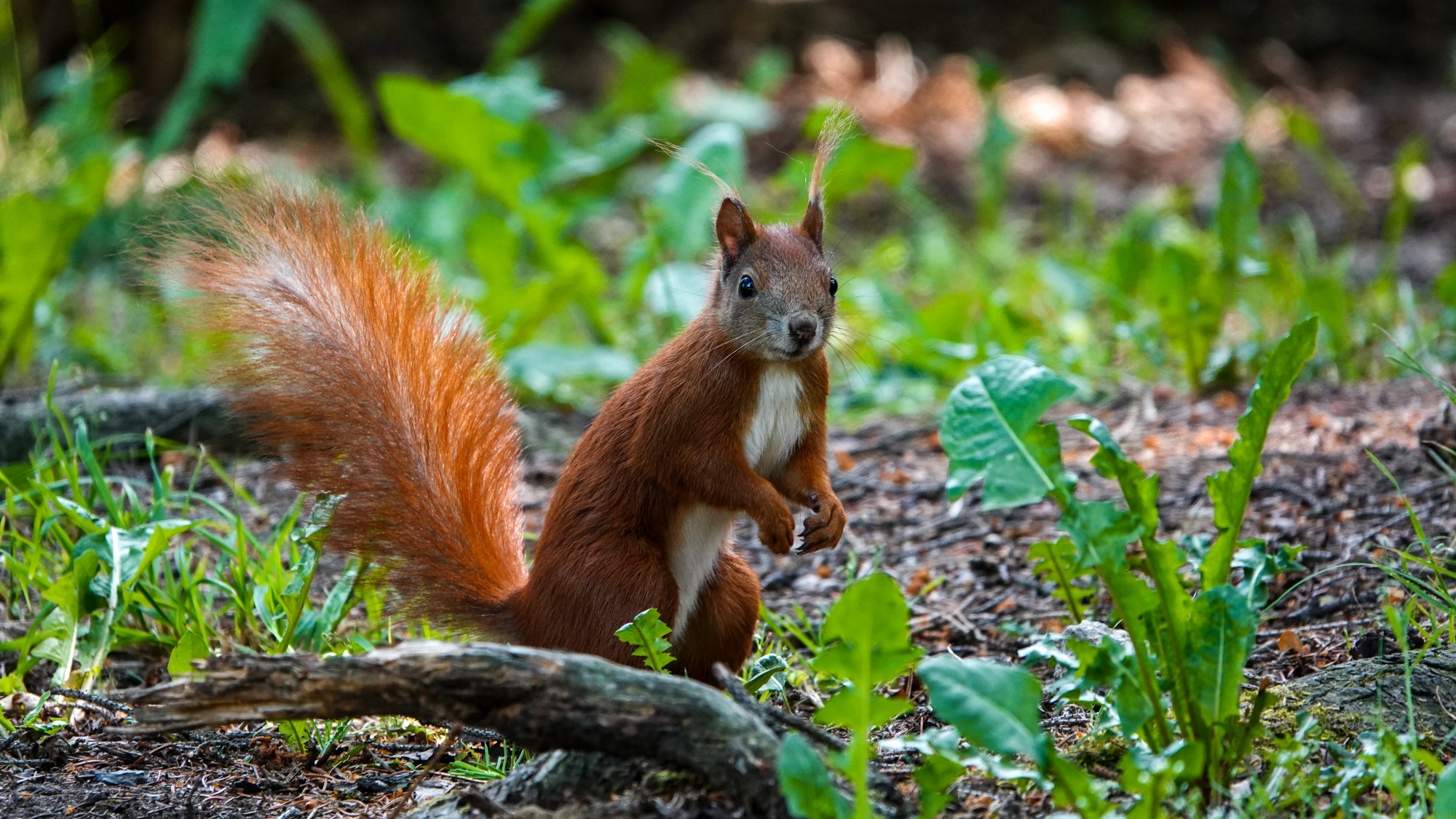 100 najpiękniejszych zdjęć 2020 roku - zdjęcie 6