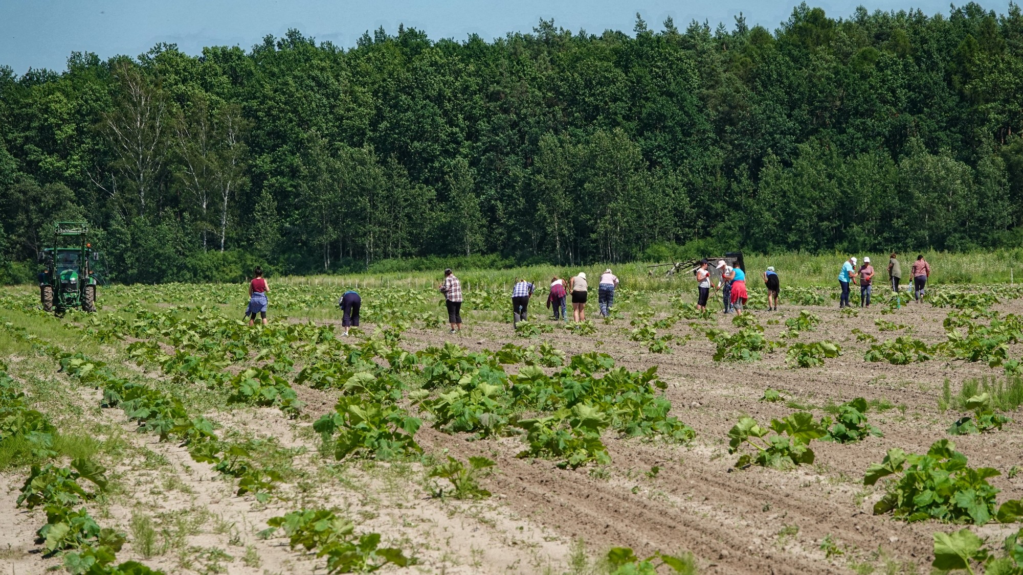 Wakacje minionych lat - zdjęcie 15