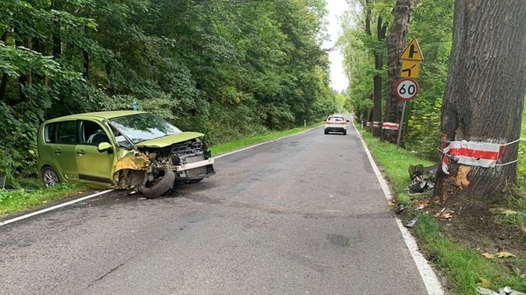 Dolny Śląsk. Kierowca walczył z... pszczołą. Wjechał autem w drzewo