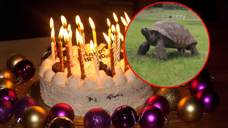 Wielka Brytania: Najstarszy żółw na świecie obchodzi 190. urodziny
