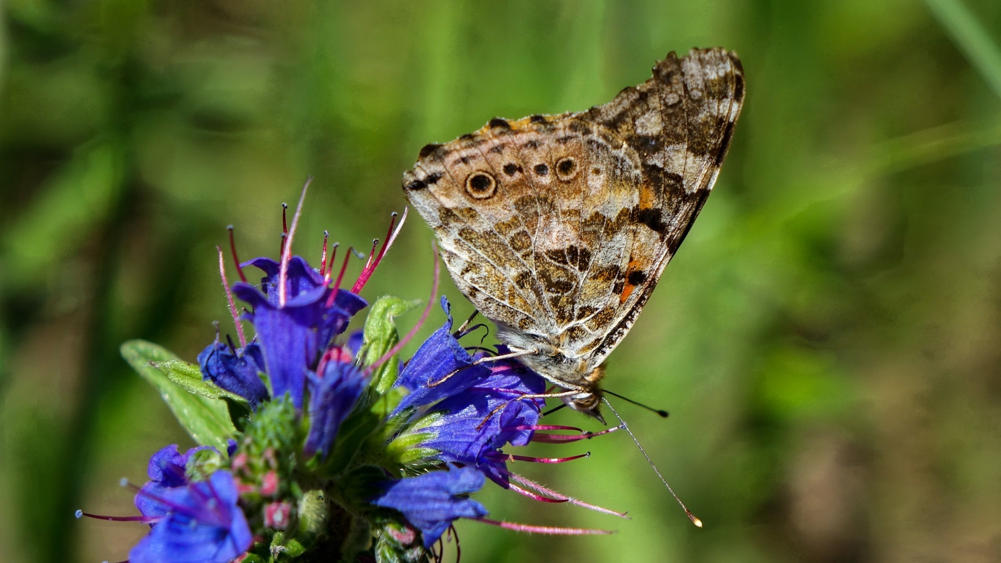 Polskie krajobrazy w 2019 roku - zdjęcie 6
