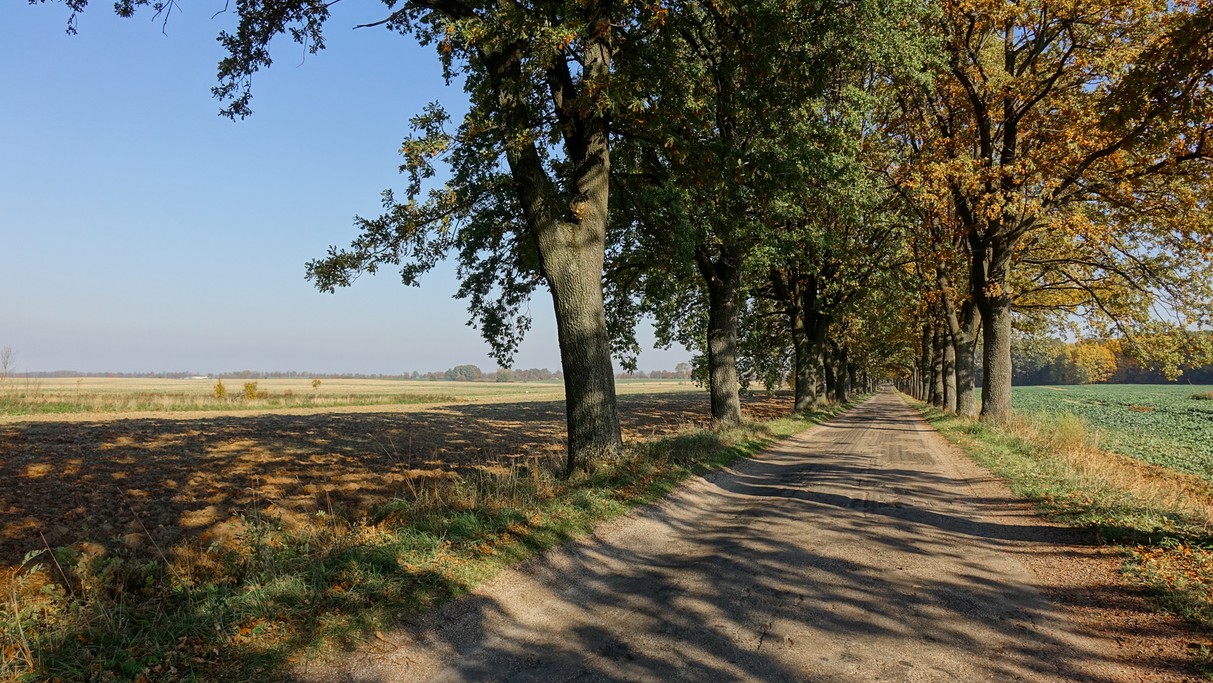 Październik w obiektywie - zdjęcie 58