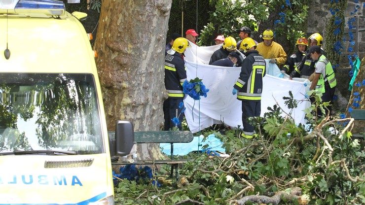 Wzrosła liczba ofiar upadku 200-letniego drzewa na Maderze