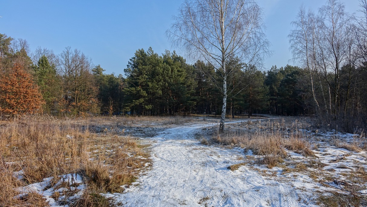 Styczeń w obiektywie - zdjęcie 12