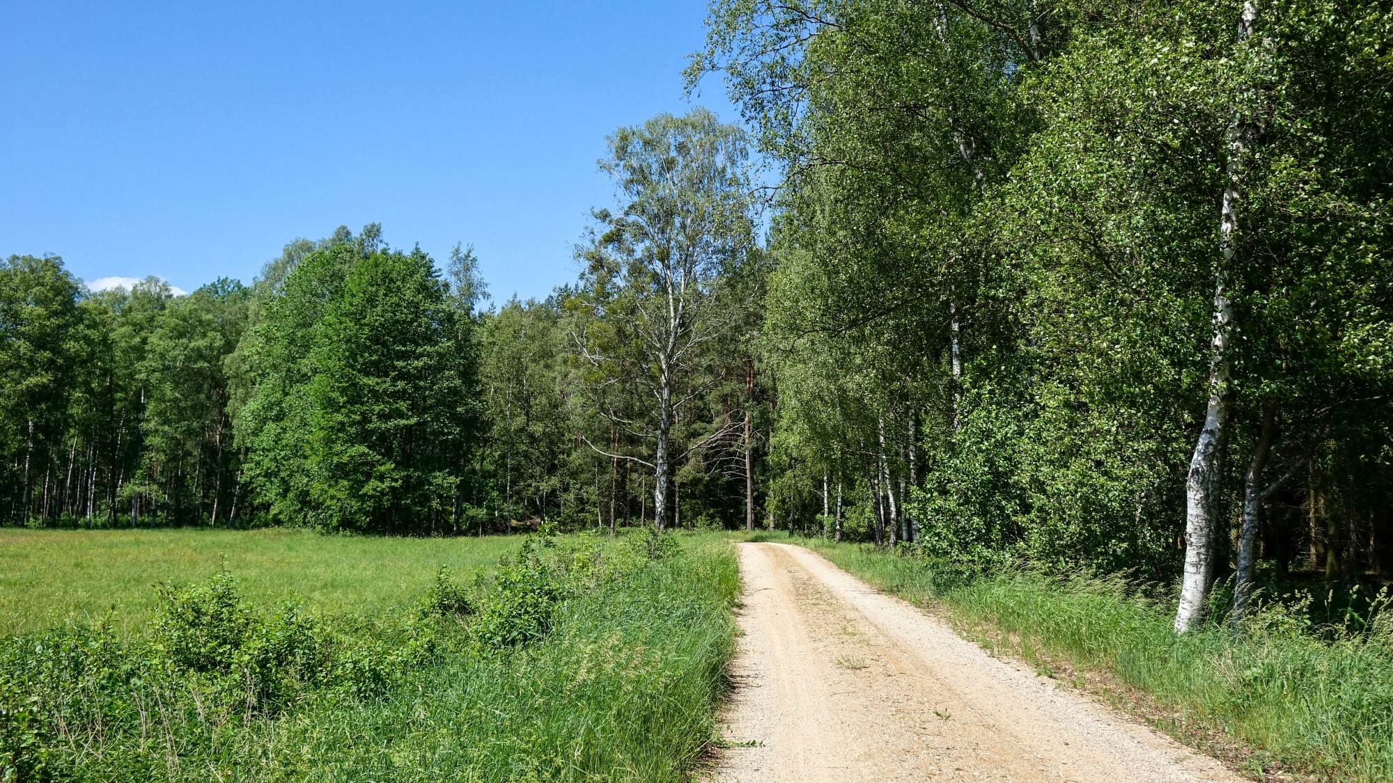 Czerwiec w obiektywie - zdjęcie 35