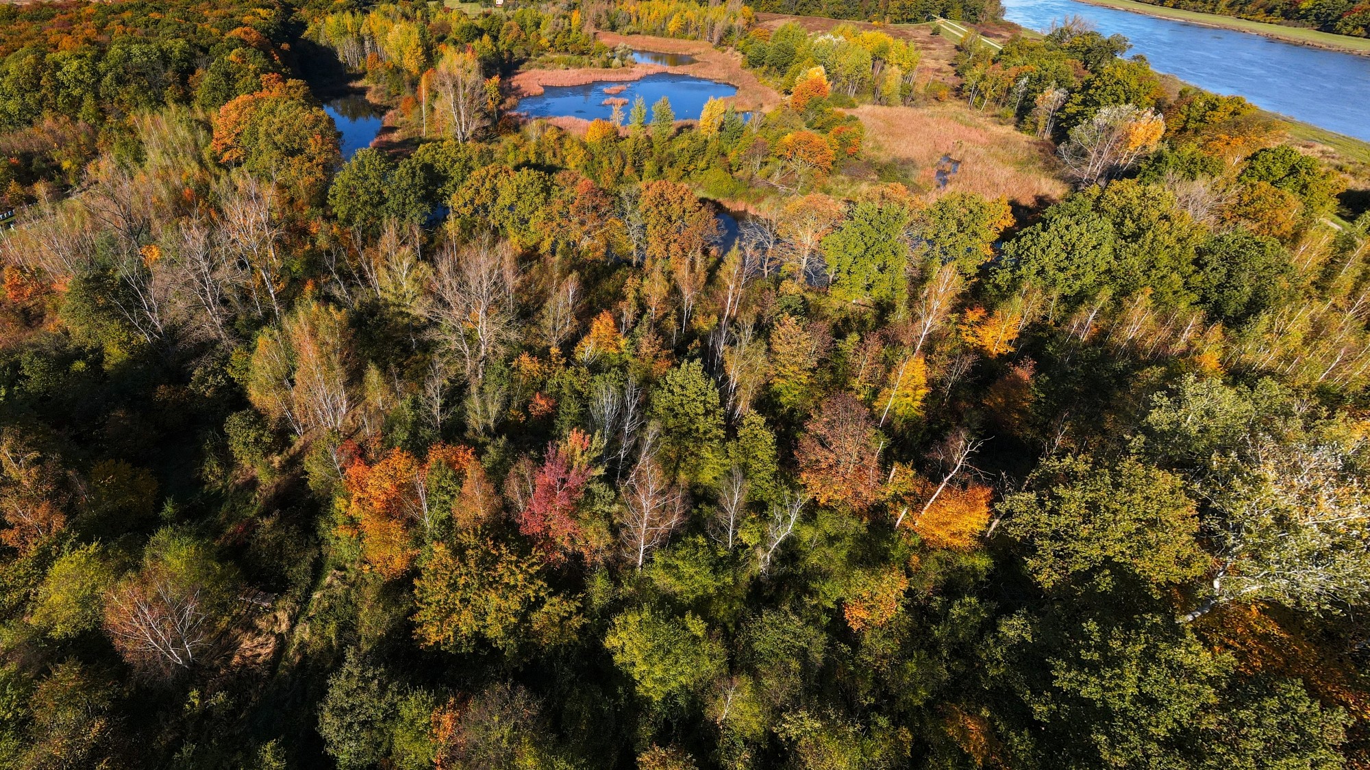 Jesień w Polsce z lotu ptaka - zdjęcie 10