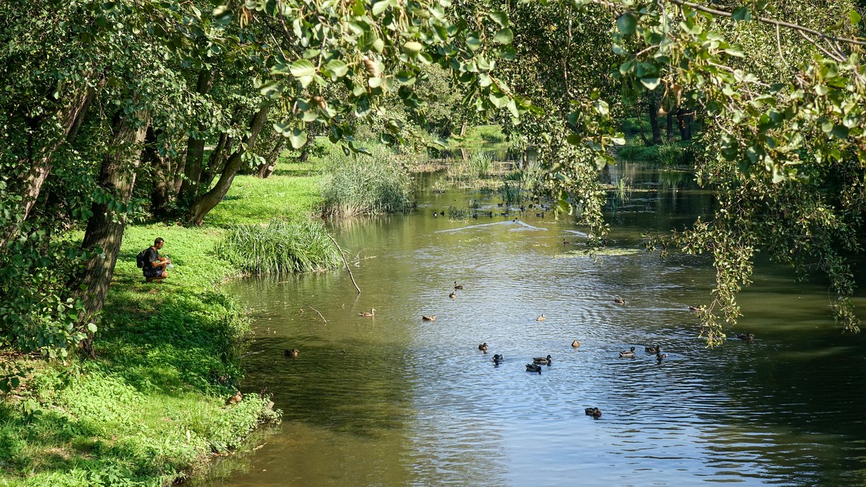 Wrzesień w obiektywie - zdjęcie 14