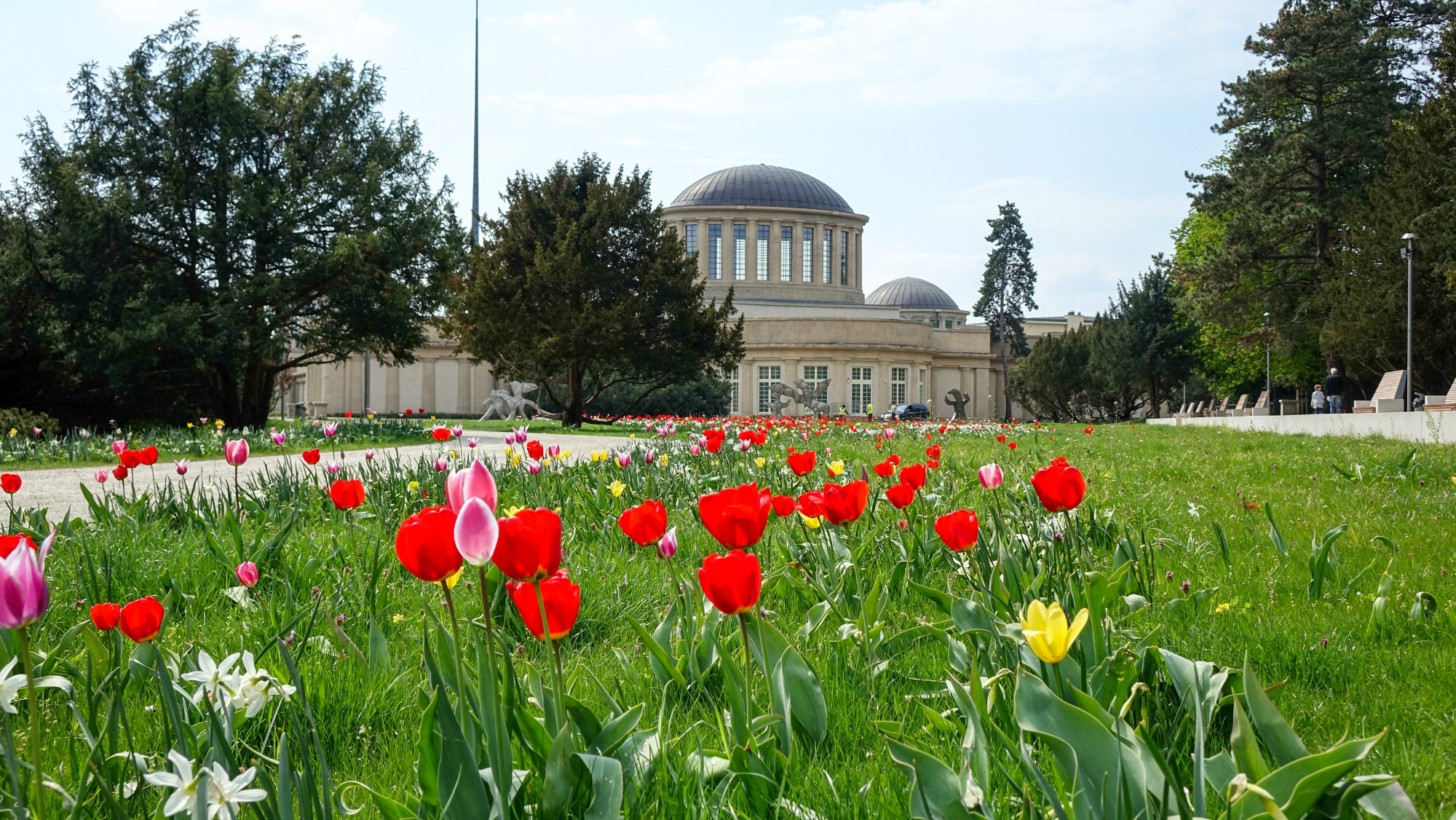 Kwitnąca wiosna - zdjęcie 32