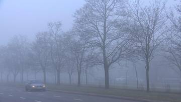 Jesień rozgościła się na dobre. Gęste mgły zasnują część kraju