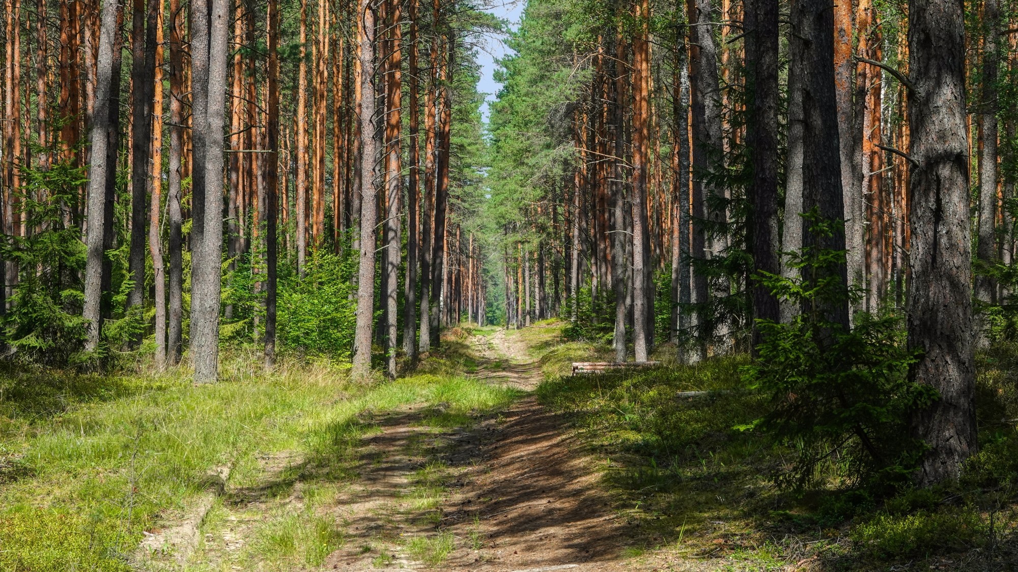 Wakacyjne podróże - zdjęcie 28