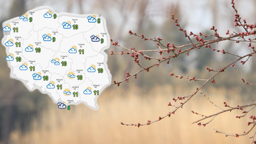 Na prawdziwą wiosnę trzeba będzie poczekać. Prognoza pogody na weekend