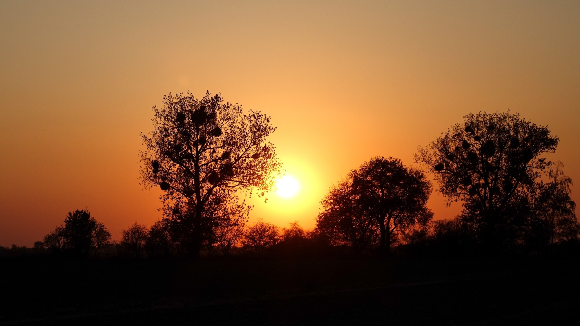 Romantyczne zachody Słońca - zdjęcie 31