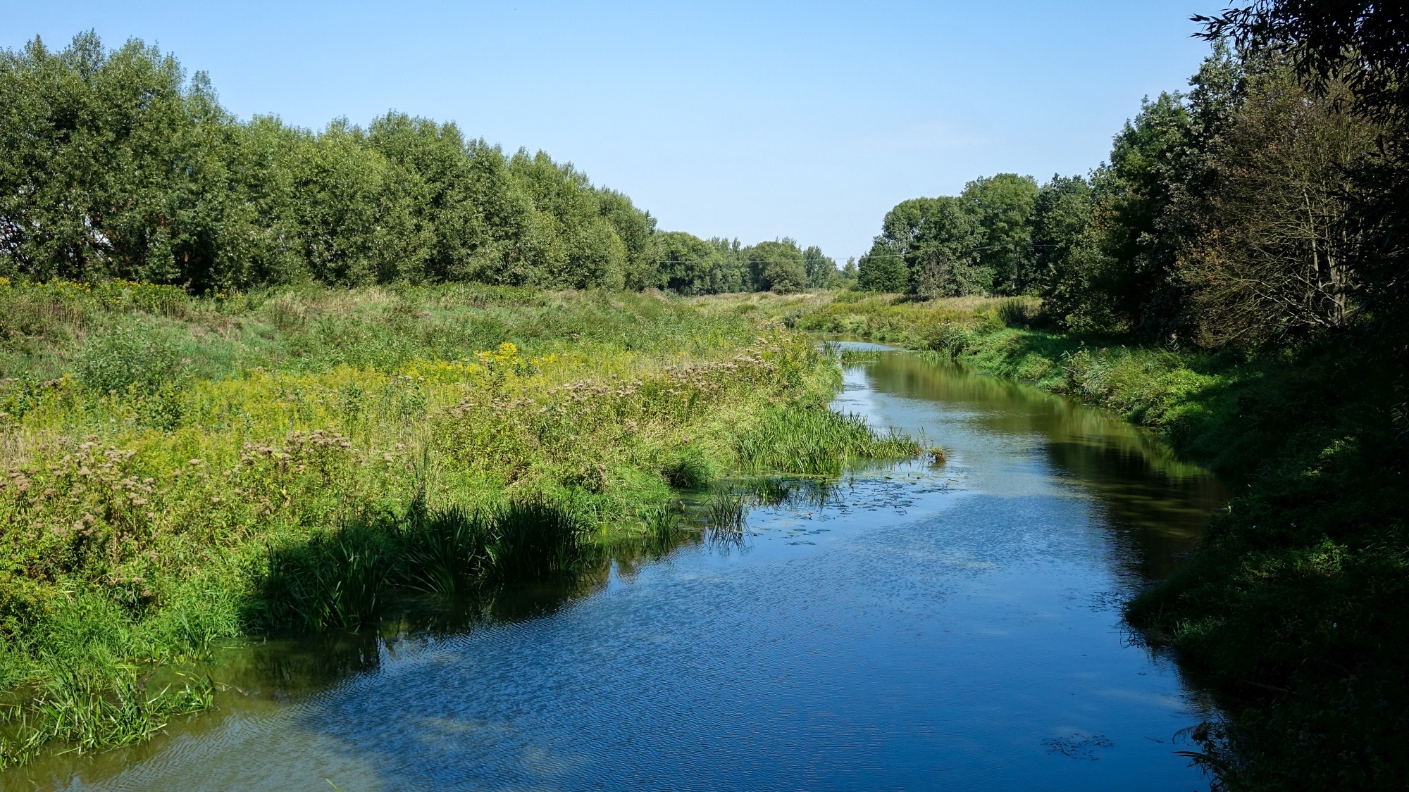 Późne lato na łonie natury - zdjęcie 18