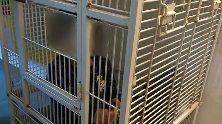 Izrael: Policjanci szukali narkotyków. Znaleźli dziecko zamknięte w klatce