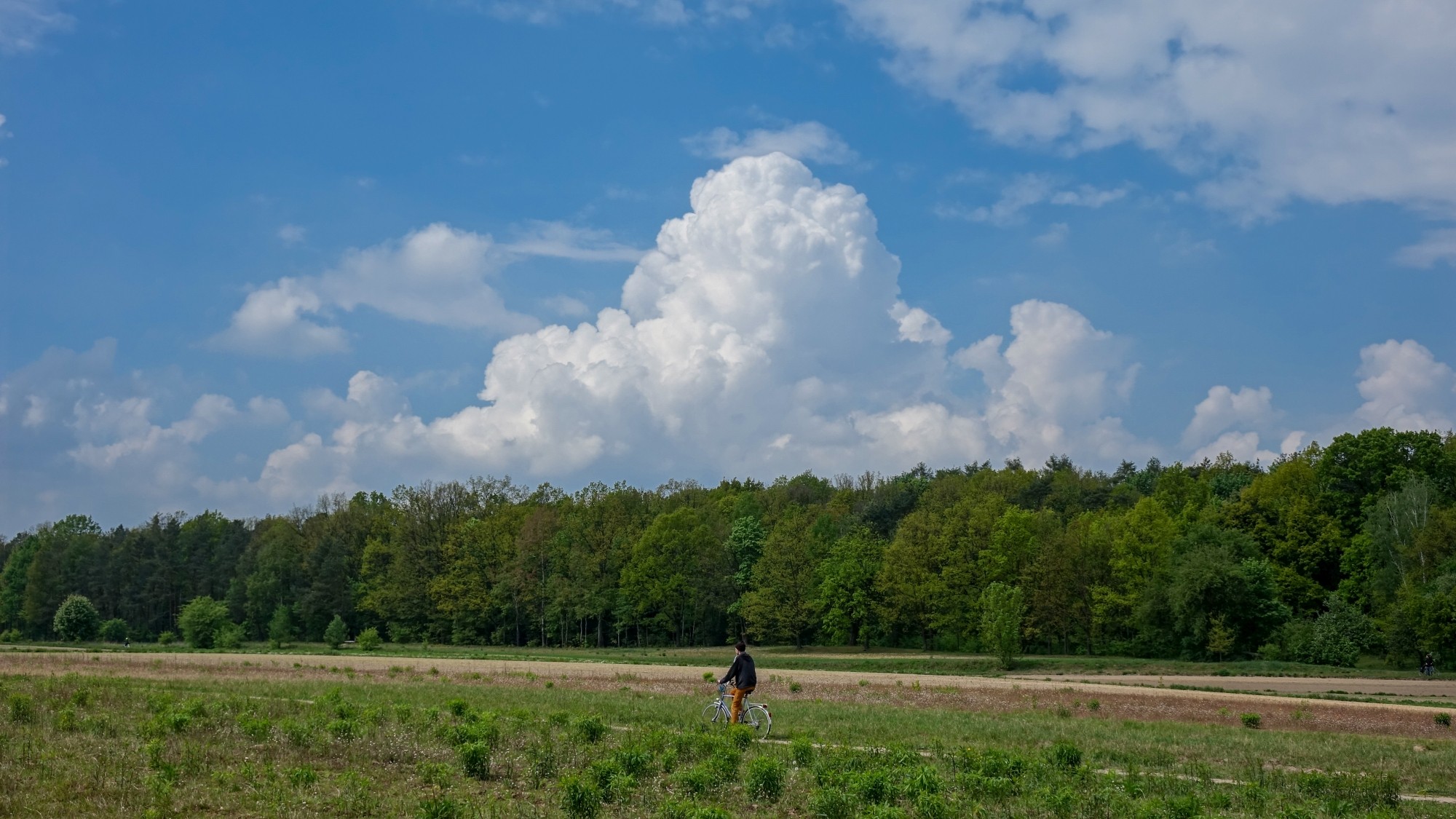 Maj w obiektywie - zdjęcie 11