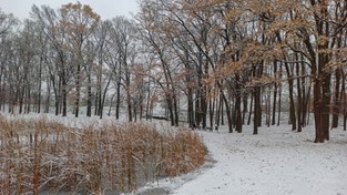 07.12.2020 11:00 Wraca śnieg i mróz. W których regionach kraju tym razem krajobrazy mogą się zabielić?