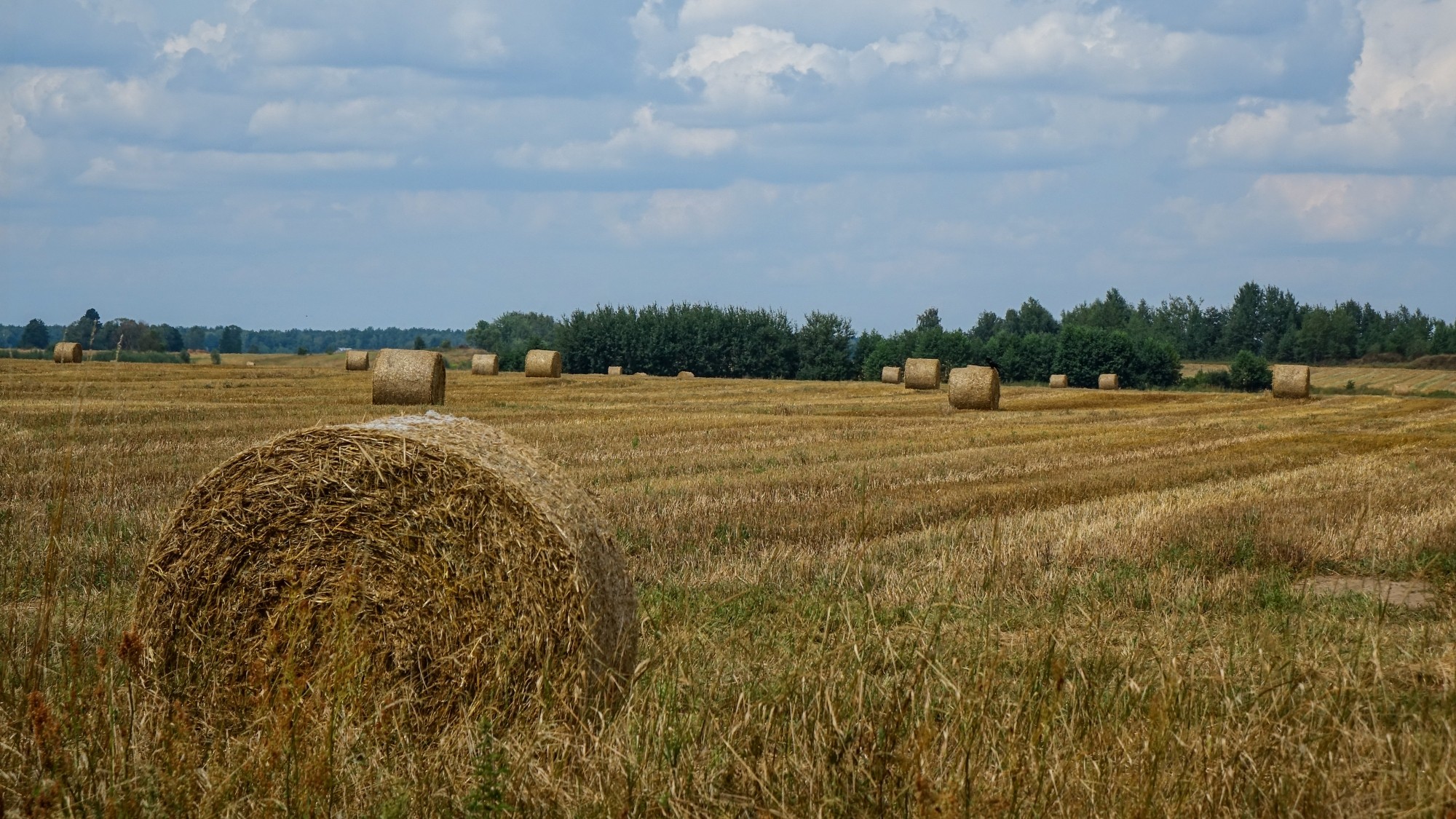 Sierpień w obiektywie - zdjęcie 31