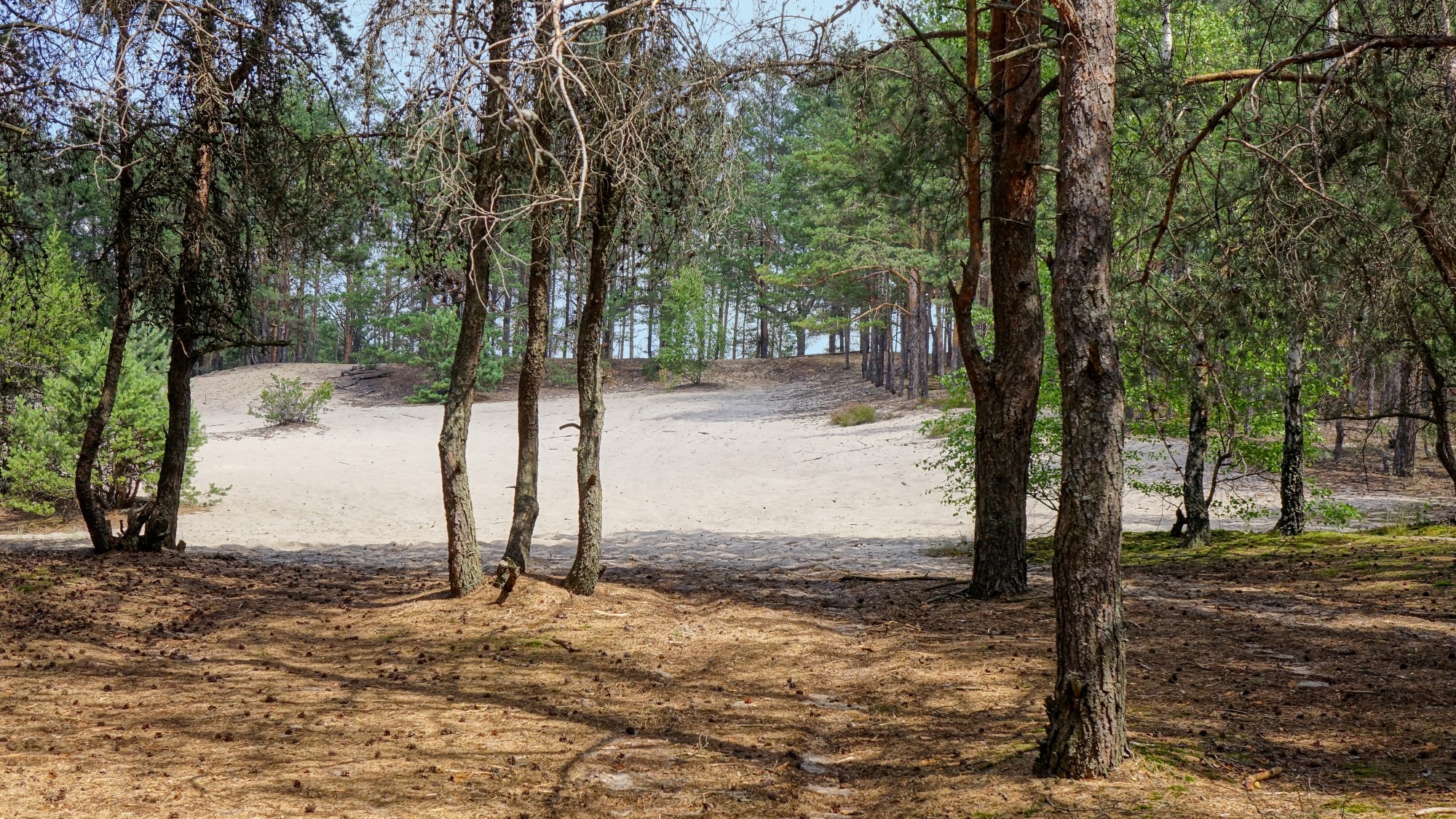 Od morza po góry - zdjęcie 18