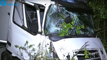 Kierowca polskiej ciężarówki uderzył w Holandii w drzewo. I zniknął