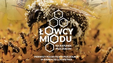 "Łowcy miodu" z "Eko-Oscarem". Polacy dostali Nagrodę Pandy
