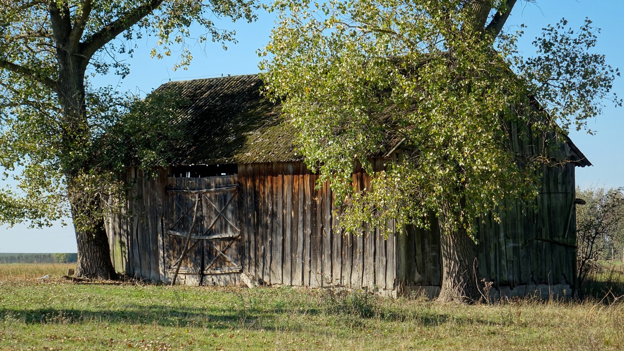 Październik w obiektywie - zdjęcie 5