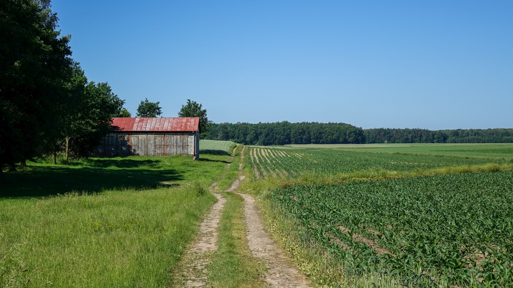 Uroki lata za miastem - zdjęcie 27
