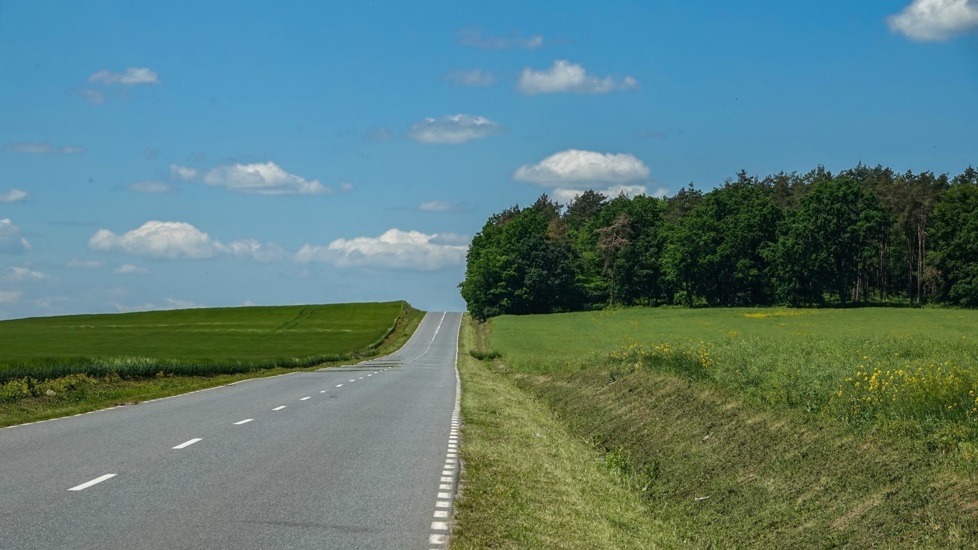 Uroki zielonej pory roku - zdjęcie 26