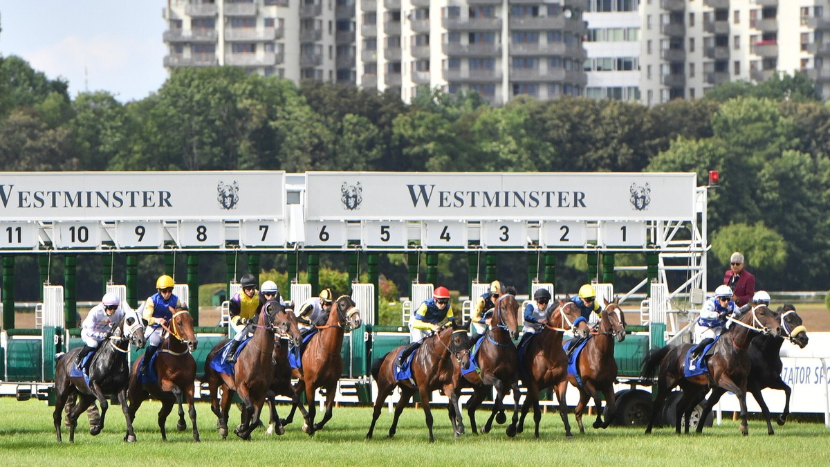 Sanżahar Abajew na Westminster Moon zwycięzcą 79. gonitwy Derby