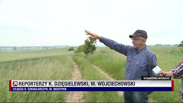 Plaga muflonów w Wielkopolsce. Rolnicy domagają się odszkodowań