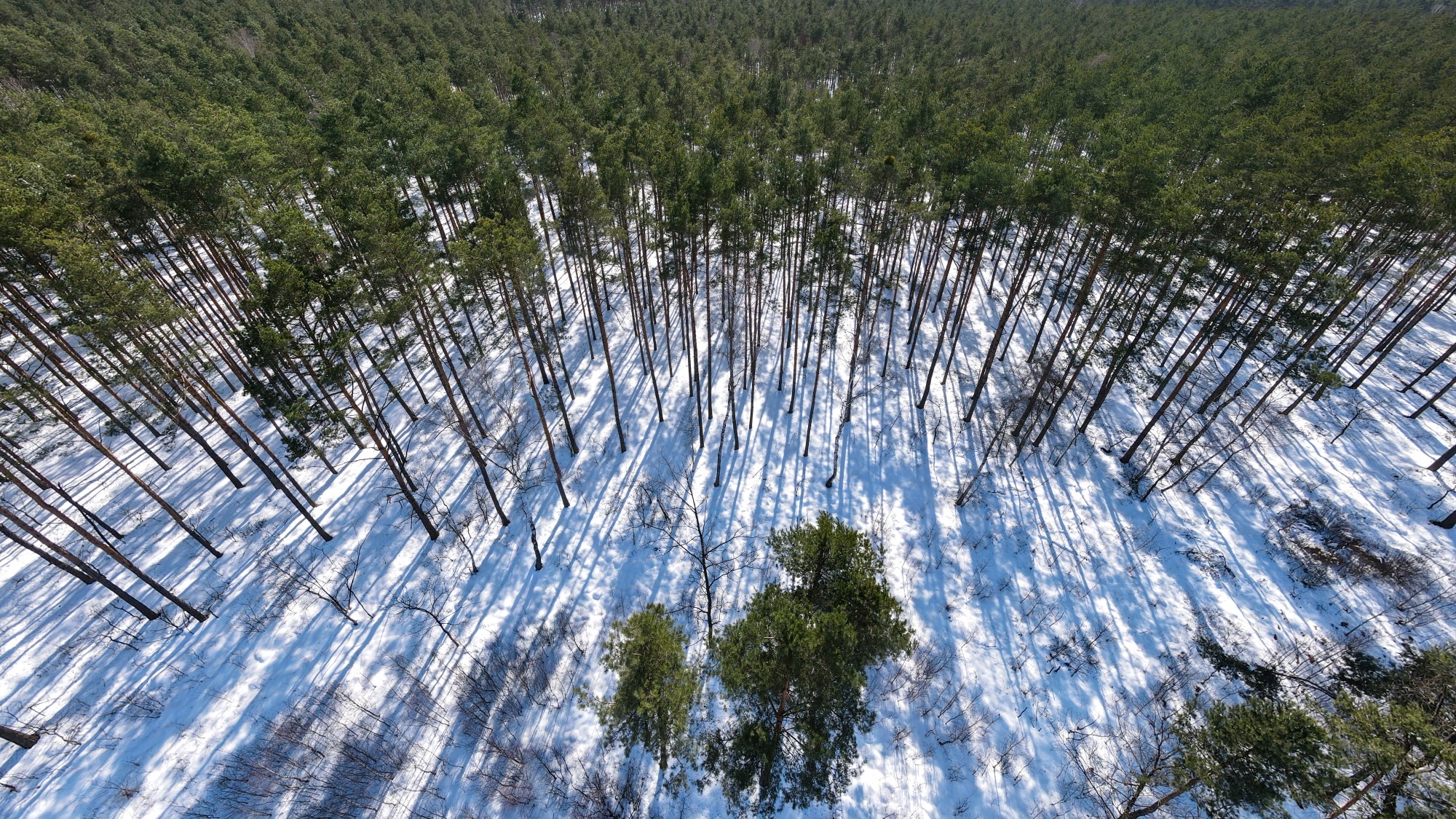Cuda polskiej natury - zdjęcie 55