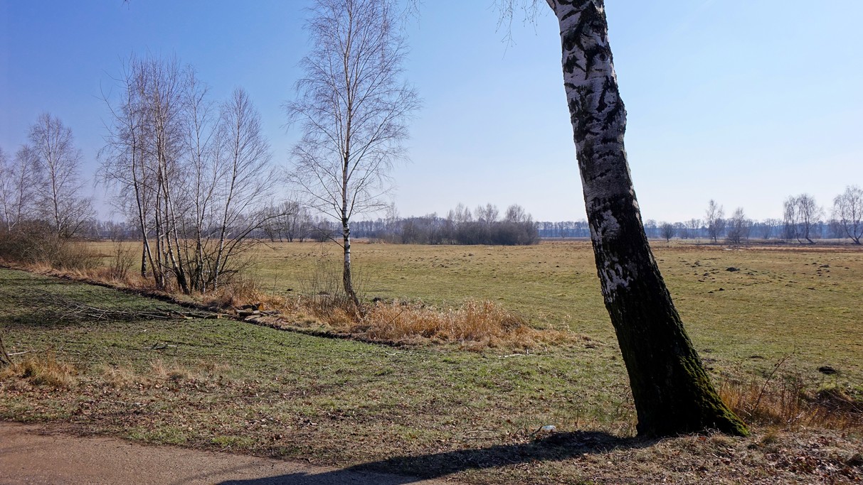 Marzec w obiektywie - zdjęcie 39