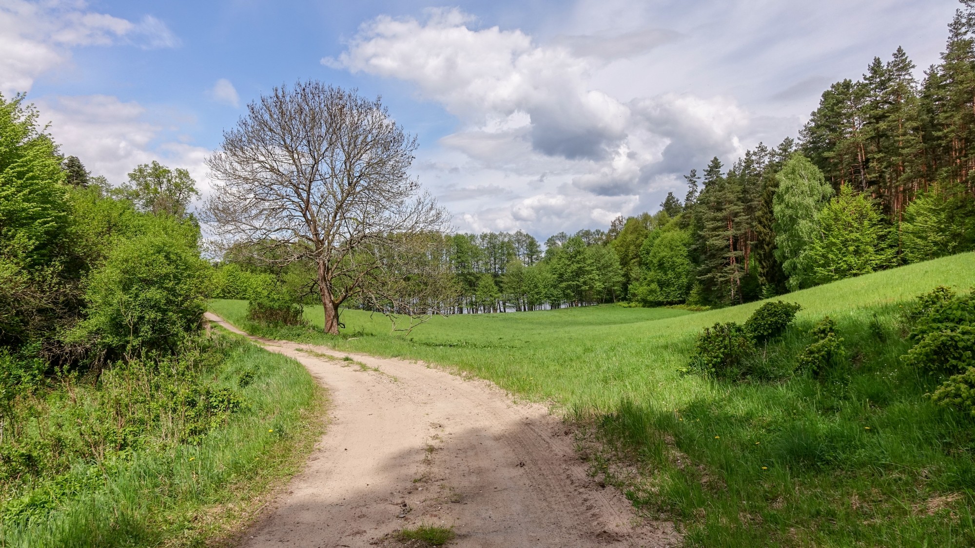 Mazury wiosną - zdjęcie 8