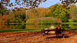 05.11.2022 05:59 Najpiękniejsze ogrody i parki w Polsce kolorową jesienią. Zobacz ich romantyczne oblicze