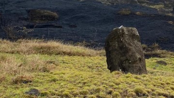 Pożary na Wyspie Wielkanocnej. Słynne posągi uszkodzone