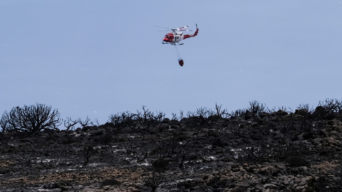 Teneryfa: Rzucał kamieniami w helikopter, który gasił pożary. 80-latek został aresztowany