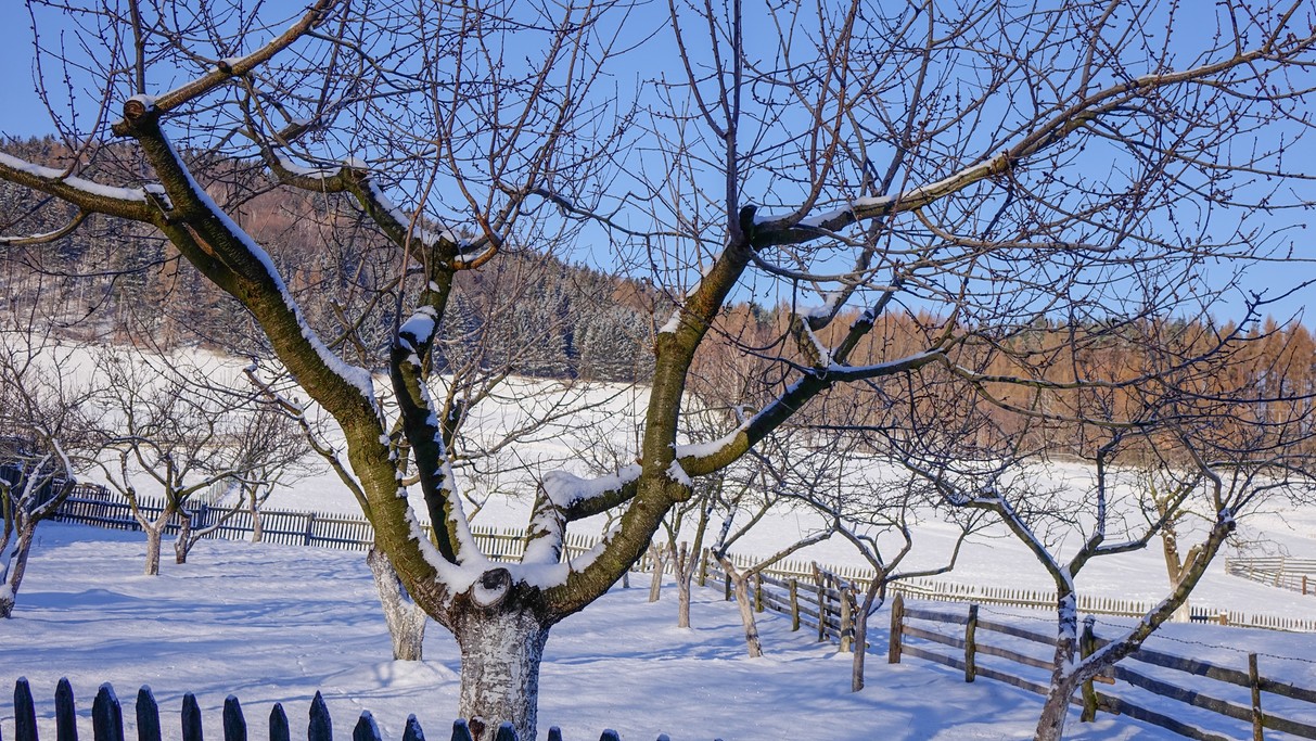 Luty w obiektywie - zdjęcie 26