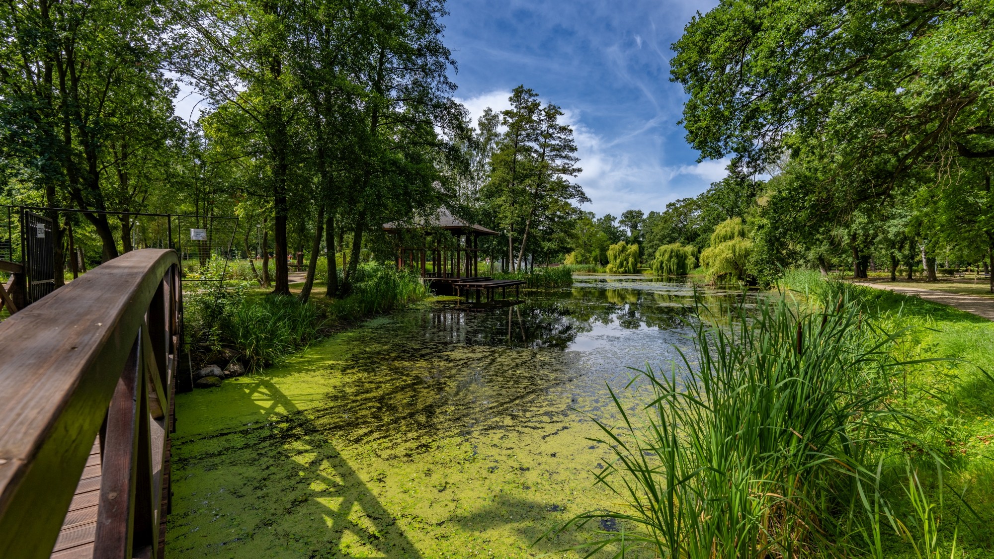 Kolory lata - zdjęcie 17