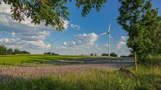 03.07.2020 00:00 Letnie klimaty na łonie natury