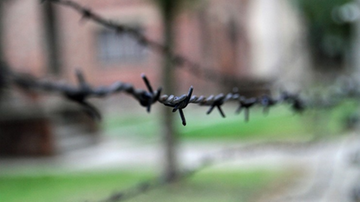 "Times of Israel": nie tylko Polska próbuje ograniczać debatę o Holokauście