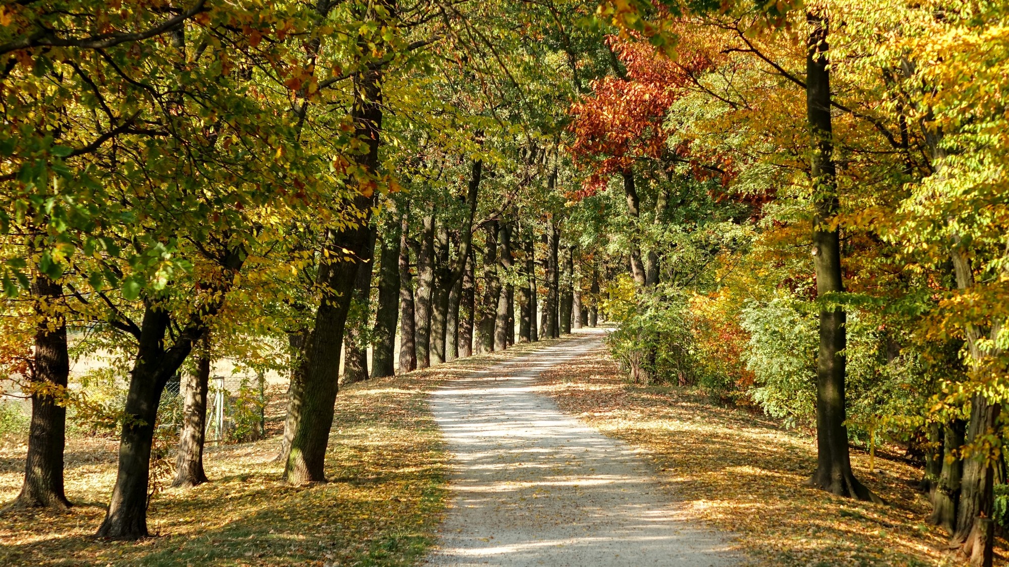 Jesień w górach, lasach i nad jeziorami - zdjęcie 5