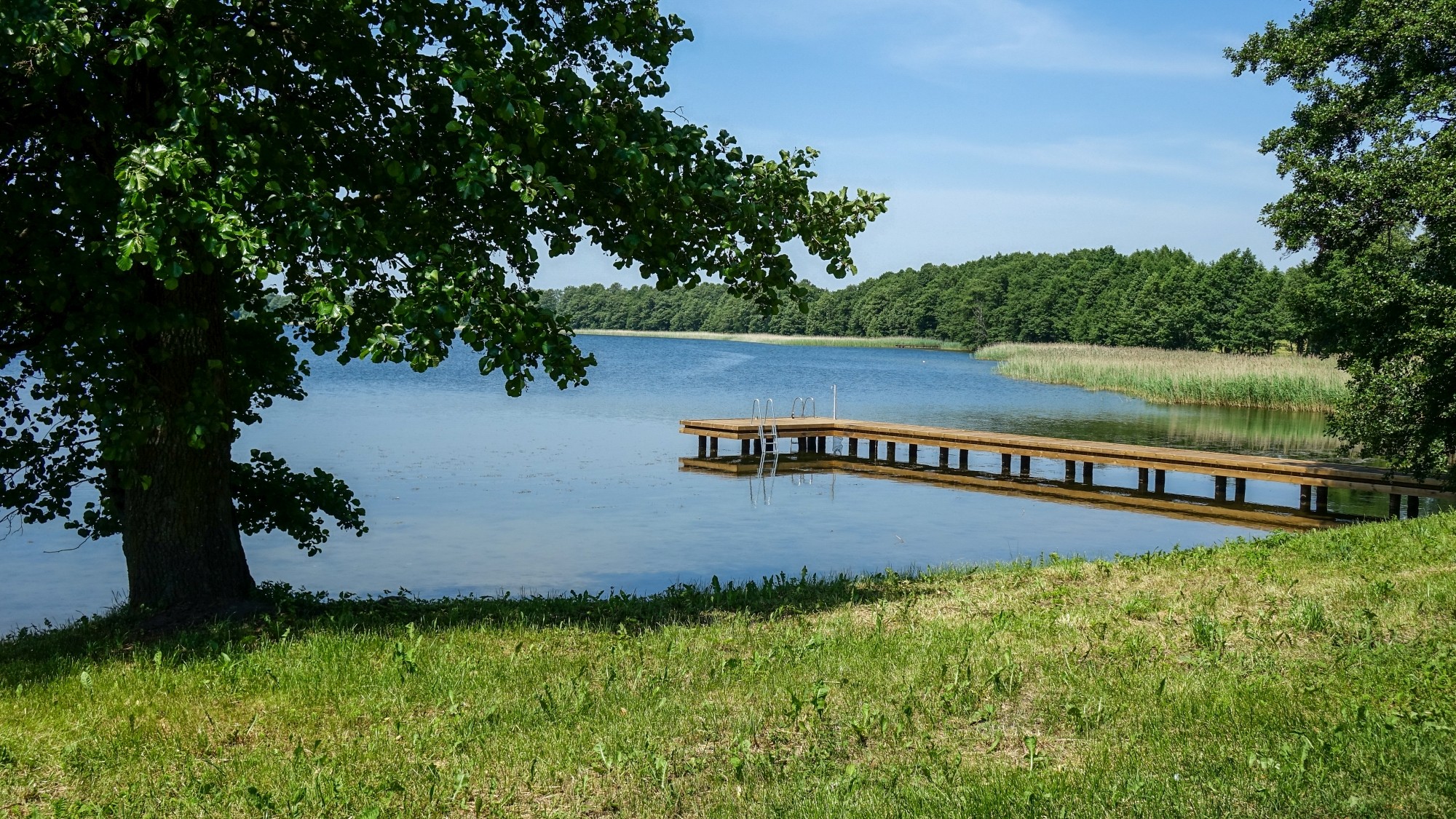 Czerwiec w obiektywie - zdjęcie 31