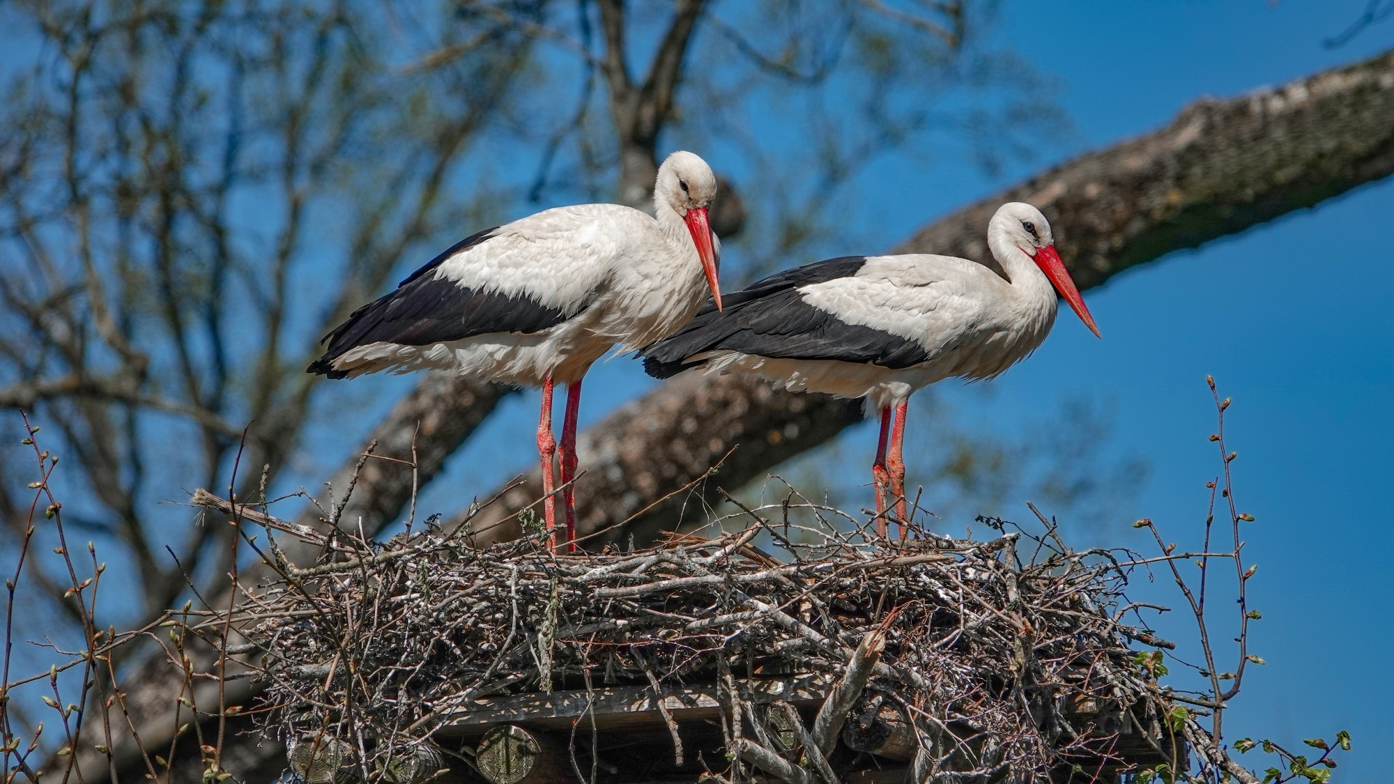 100 najpiękniejszych zdjęć 2021 roku - zdjęcie 28