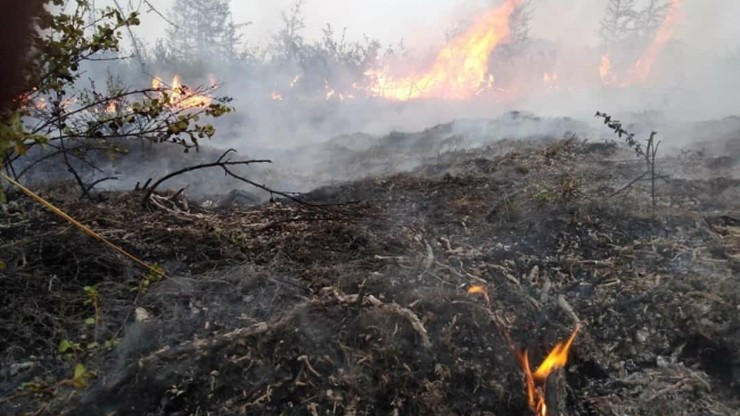 Syberia w ogniu. Spłonęło już ponad 300 tys. hektarów lasu