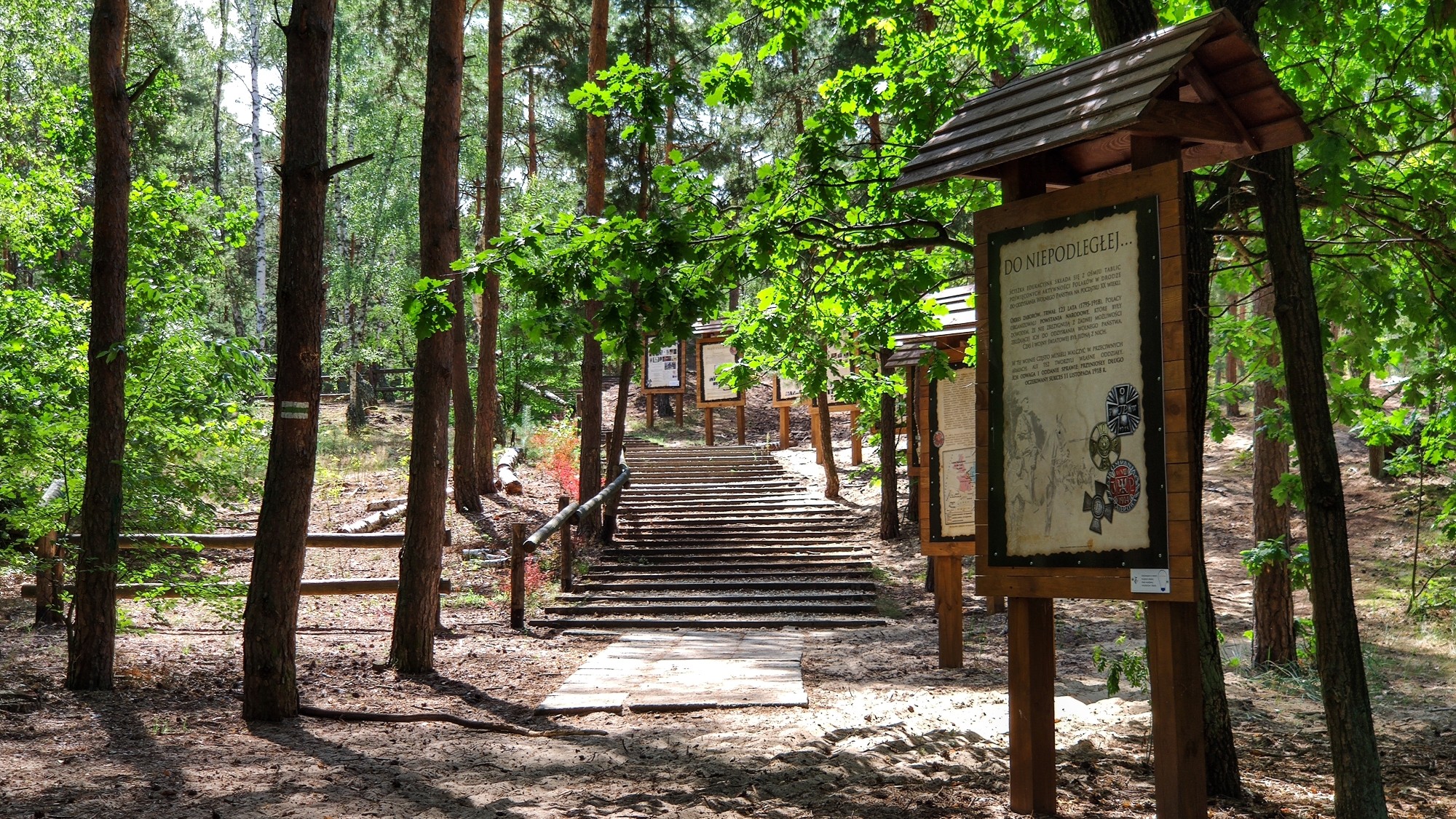 Sierpień w obiektywie - zdjęcie 21