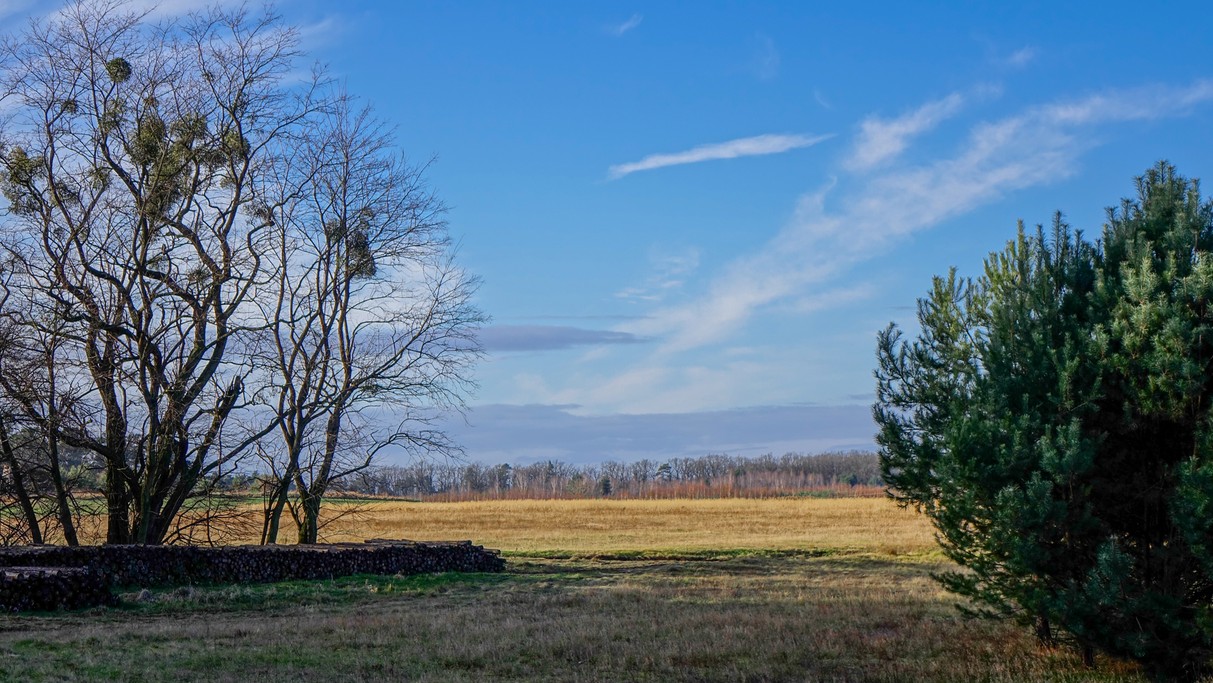 Styczeń w obiektywie - zdjęcie 18